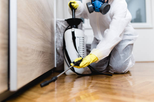 Wasp Removal Services in Gloucester, MA