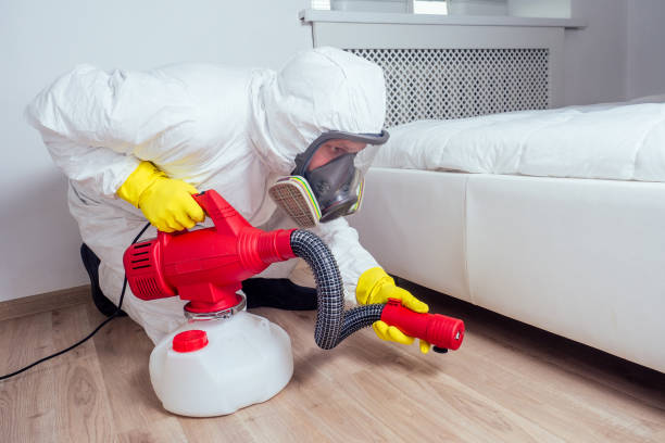 Trusted Gloucester, MA Pest Control Experts