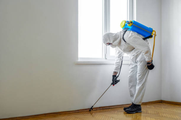 Best Wasp Removal Services  in Gloucester, MA