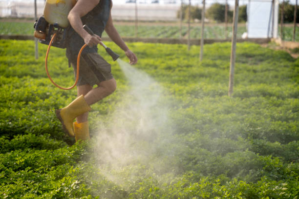 Best Pest Removal Services  in Gloucester, MA
