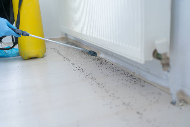 Best Local Pest Control Services  in Gloucester, MA